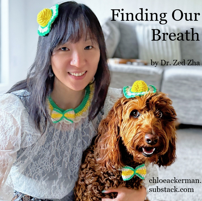ChloeDeng8's tweet photo. I’m thrilled to present Dog Lover's Guide to Feeling Better's first guest post, authored by the brilliant @DrZedZha. She shares about how training her puppy taught her how to find her breath in the  midst of terrifying and chaotic circumstances.
https://t.co/ia2gxCiVxj https://t.co/To7p0i5IyS