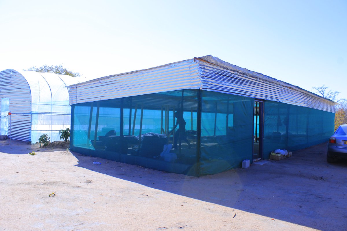 Pilot site @Mabudzane village