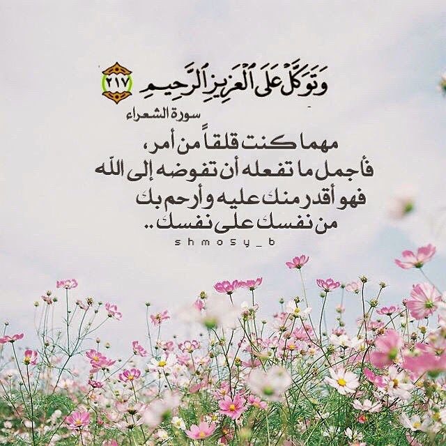 asoooolah28's tweet photo. صباحكم خير وبركة 💜 https://t.co/9a41Zxd3aD