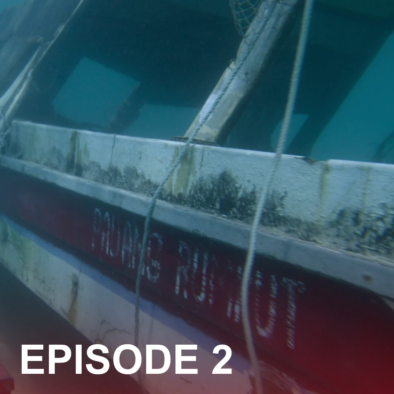 moleclassic tweet media