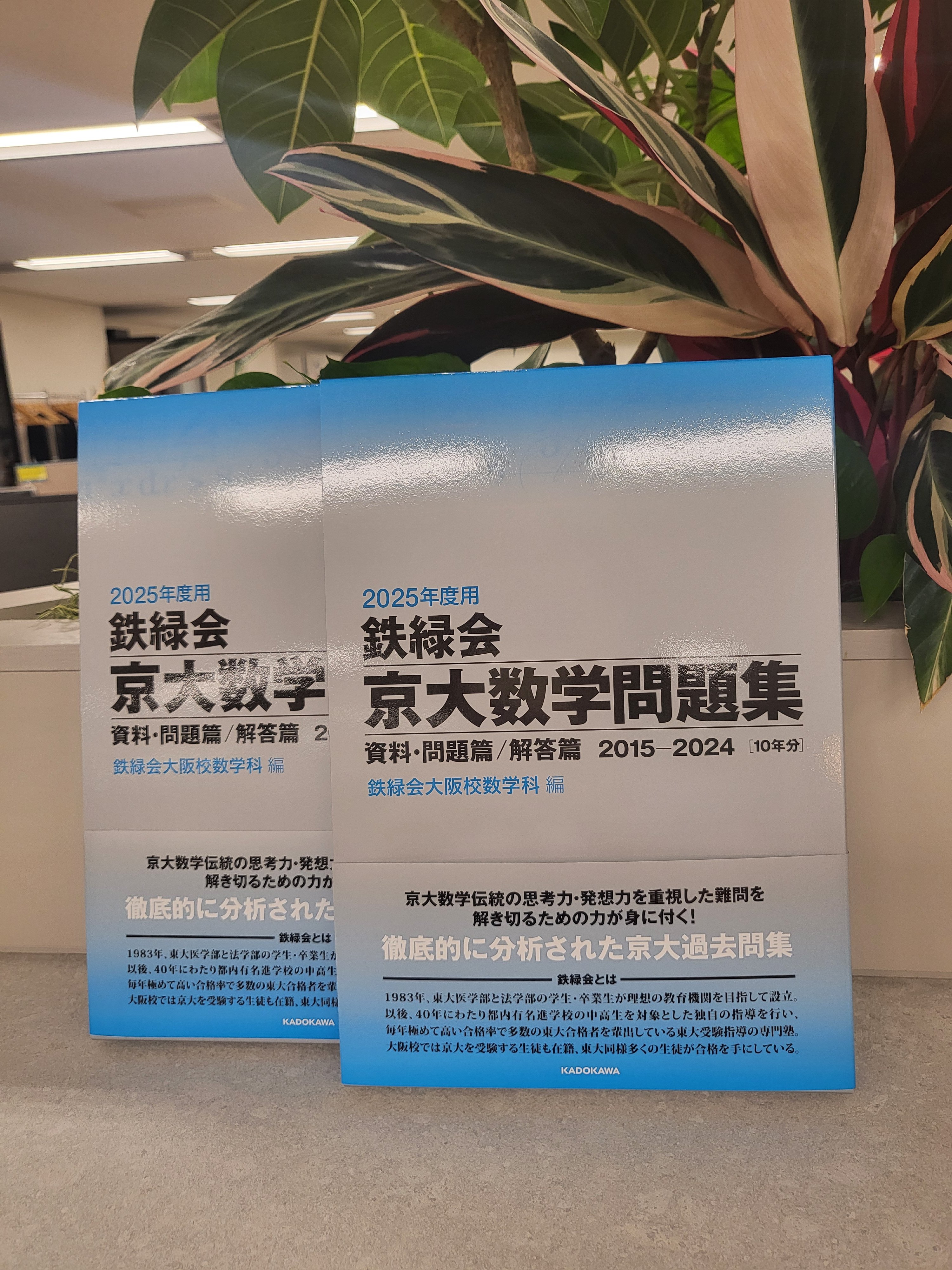 2022年度 鉄緑会東大古典問題集 資料・問題篇/解答篇 古文 漢文