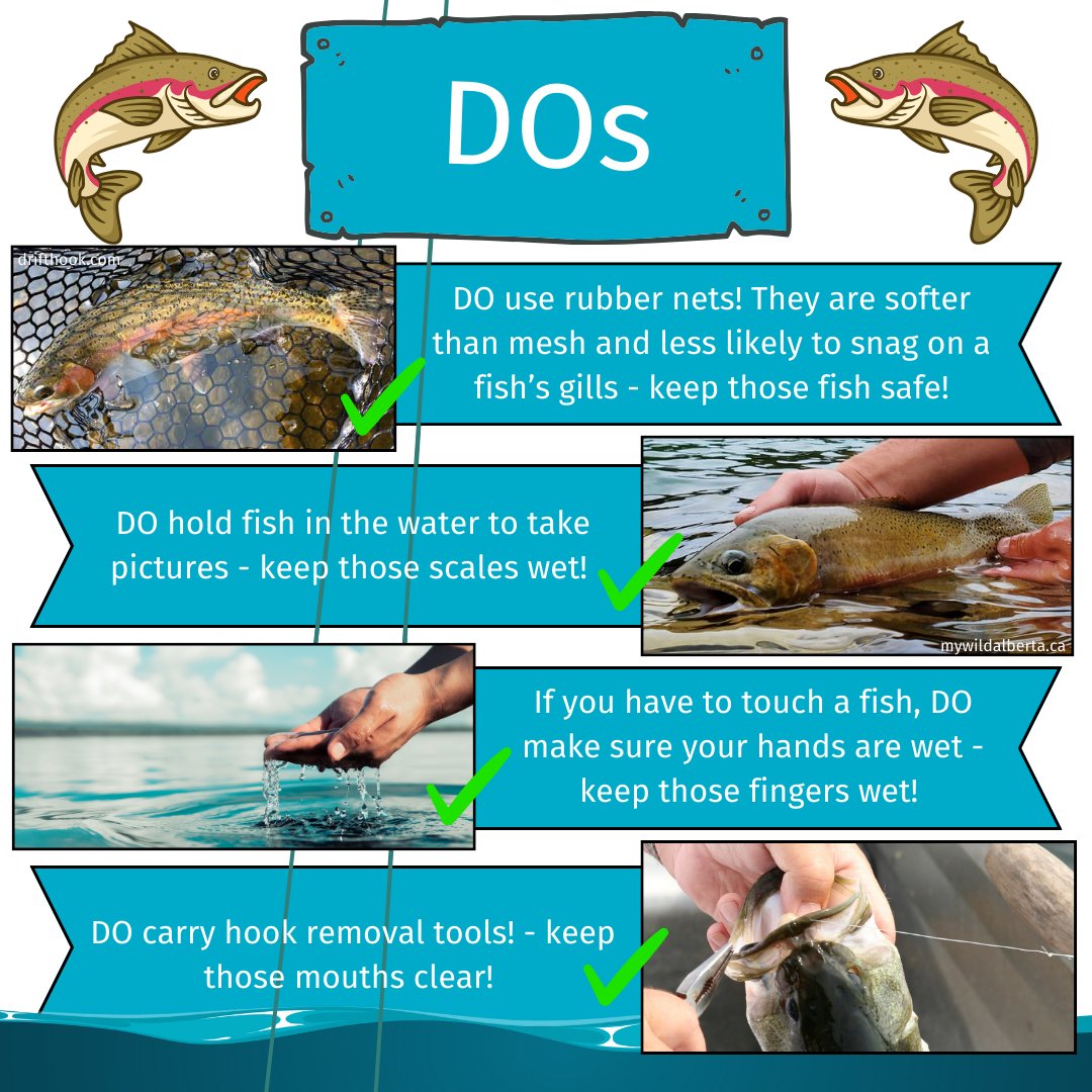 Athabasca Watershed Council tweet media