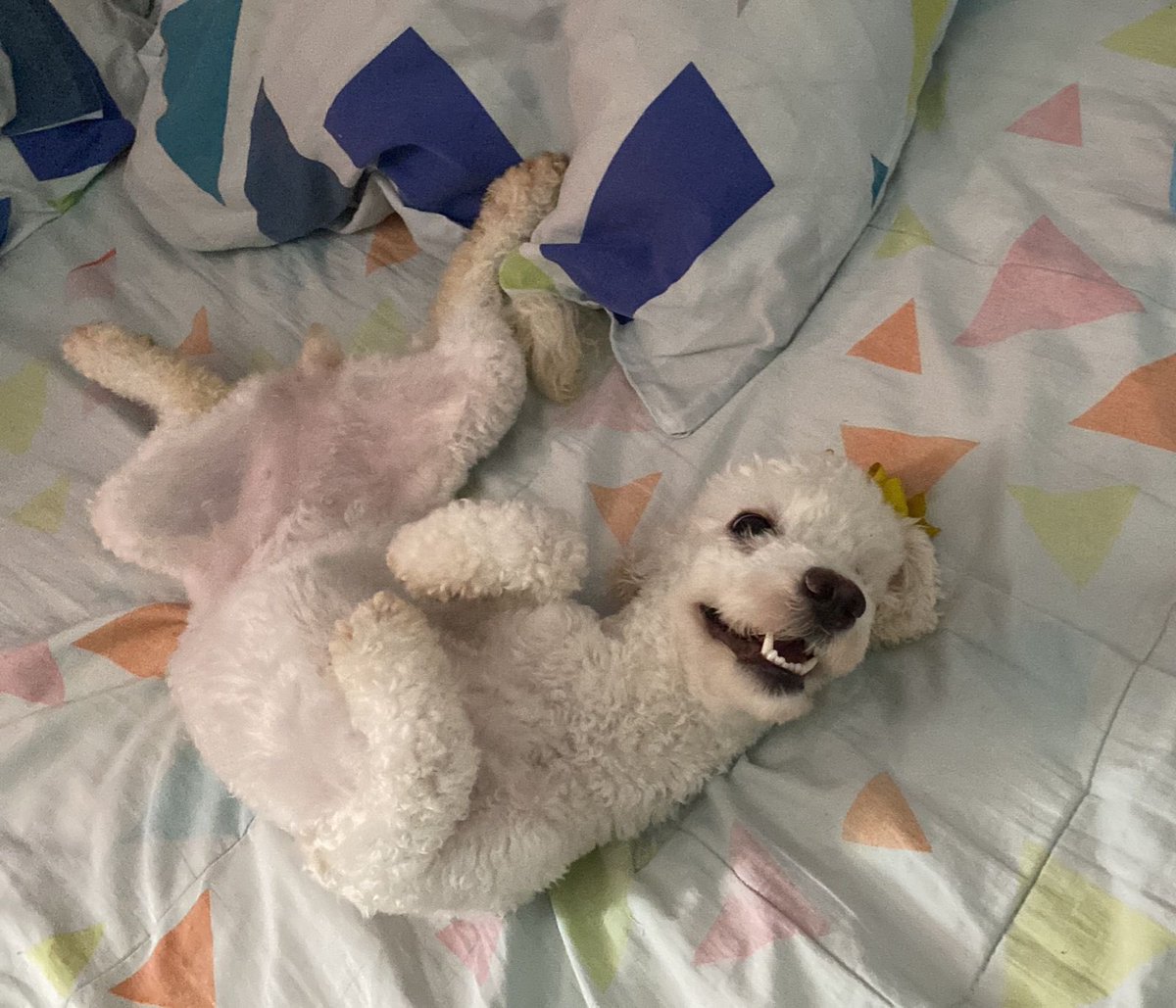 Low2Key_'s tweet photo. el amor que le tengo a esta pequeña, no lo voy a tener por ningún otro ser humano. https://t.co/Ubnmjtcp1X