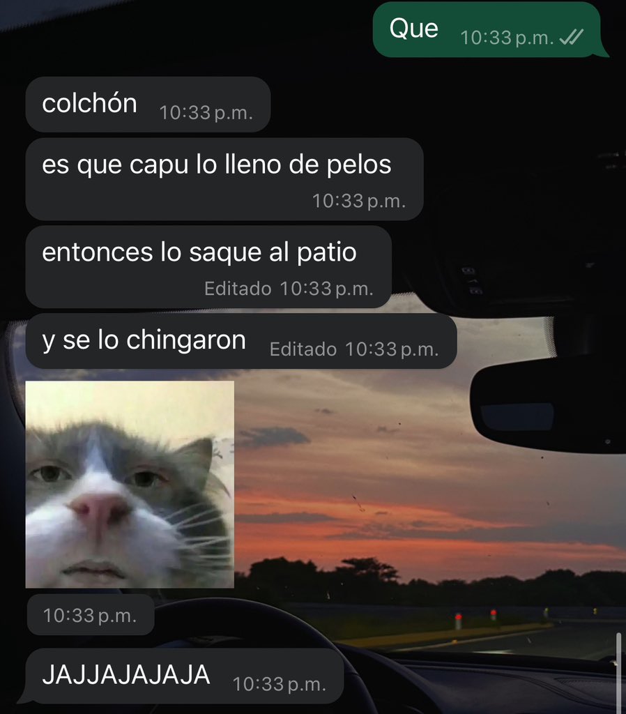 Top 3 cosas más random que le han pasado a Fryda (le robaron su colchón)