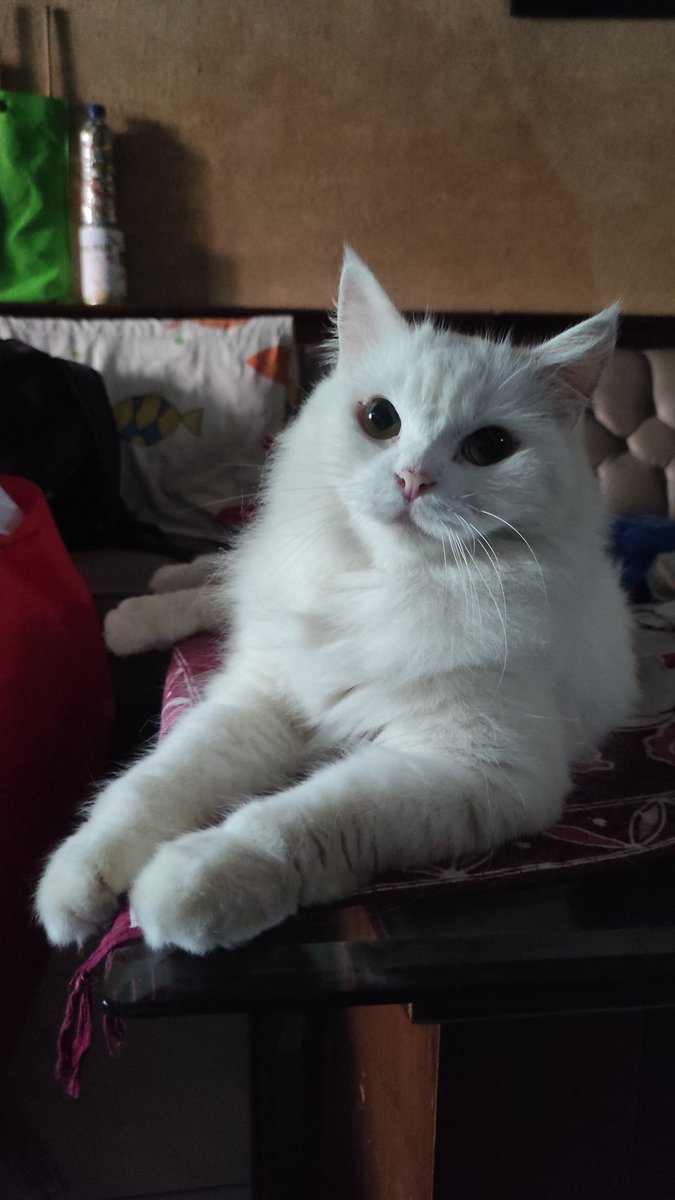 Pamerin foto cakepmu seperti aku dong maniezzz