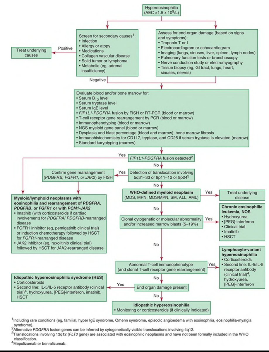 🌟 EOSINOPHILIA - Evaluation 

*SM - Systemic Mastocytosis

From William's Manual Of Hematology. 10ed