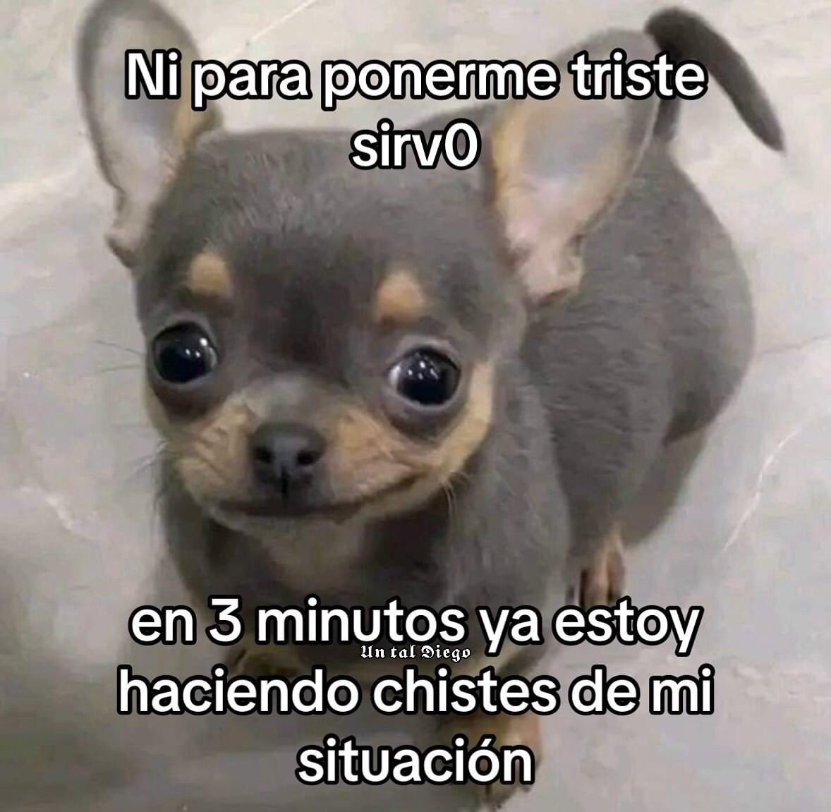 MexicoMagico's tweet photo. https://t.co/6yT0ryOvtf