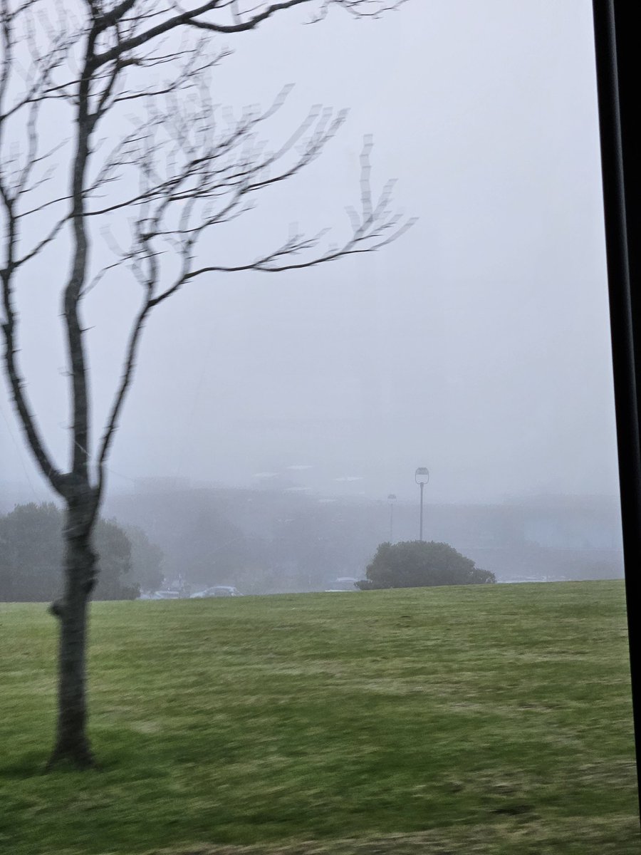 trashngl's tweet photo. @RichardHills_ I can confirm albany has disappeared https://t.co/hTxx1pTFim