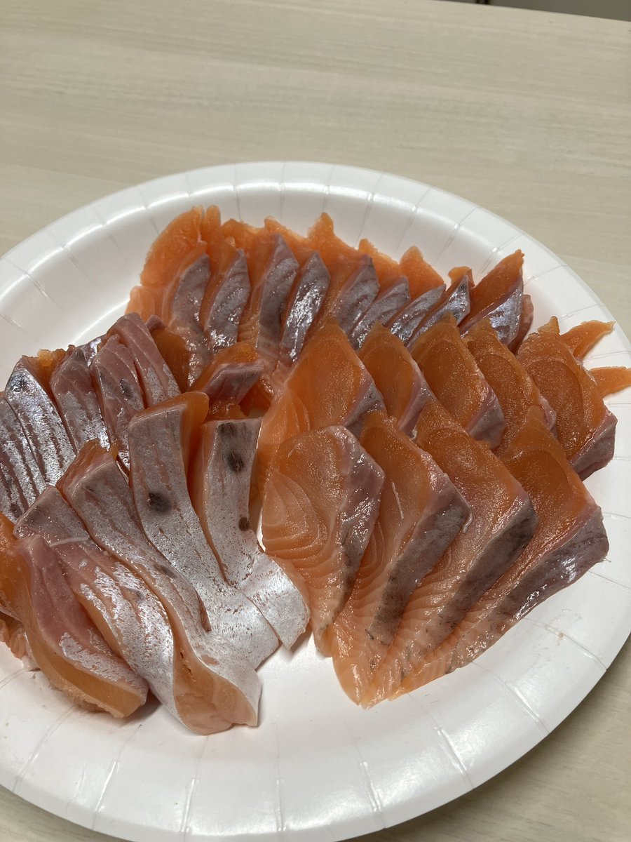ken_ueno's tweet photo. こんな魚やってまして
#宮大サーモン　#サクラマス　#smolt https://t.co/wNaCi7xFV4