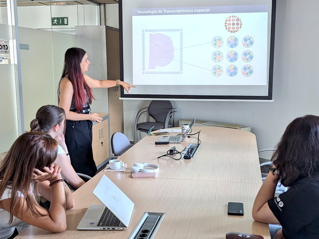 ljimenezgracia's tweet photo. Once again, we kicked off the #BATX2LAB Summer program @PCB_UB!🚀
Together with @paulanietog, we welcomed 3 high school students to the Single Cell Genomics - @hoheyn lab @cnag_eu. They will conduct their practical research projects analyzing @10xGenomics data with us. 🔬👩🏻💻 https://t.co/X0NwqS72M1