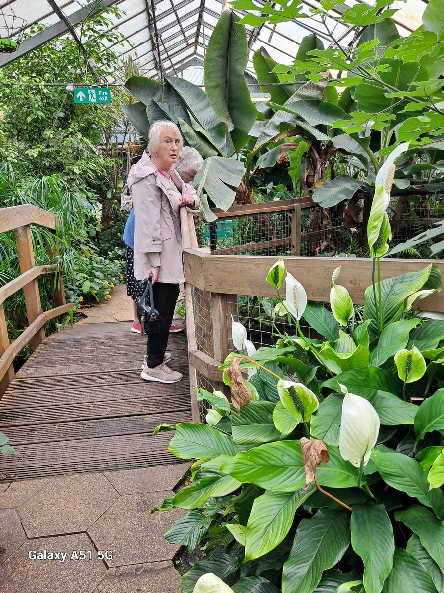 SandholmeFoldAH's tweet photo. Our residents enjoying a day out at the jungle experience in halifax @SandholmeFoldAH @AnchorLaterLife #ANIMAL https://t.co/7cBXTDzjHL