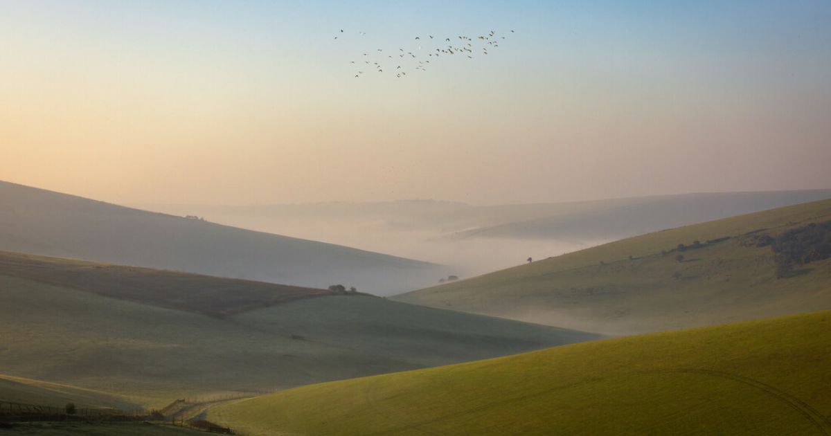 SouthDownsTrust tweet media