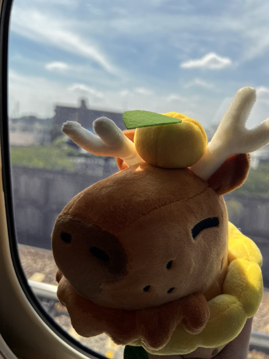 Extremely Powerful Capybaras ⚔️ OUT NOW on Steam tweet media