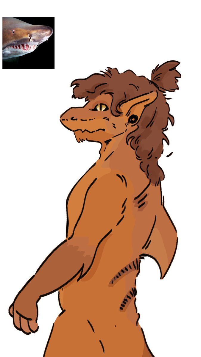 bisonteef tweet picture