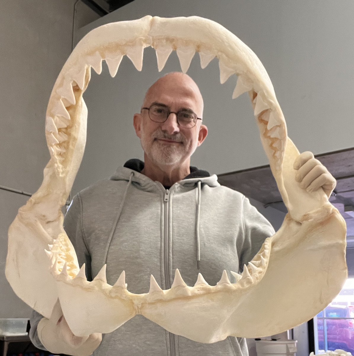 Elasmo-Morph tweet media