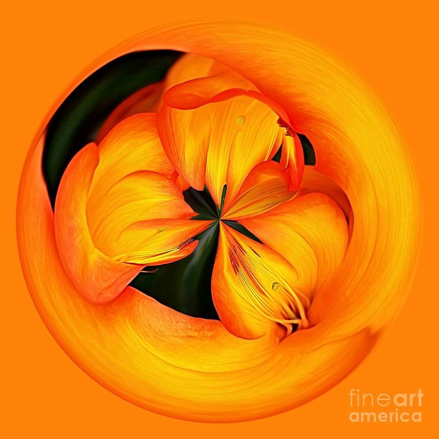 KayeMenner's tweet image. #Golden #Floral #Spherical #Art By Kaye Menner #Photography #prints #lovely #products at:
 bit.ly/3zGByhI
#Art #BuyIntoArt #AYearForArt #Artist #FineArtAmerica