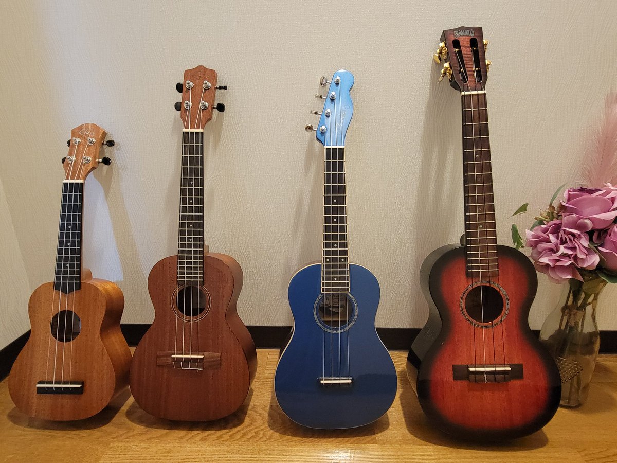 snow_ukulele's tweet photo. 他に4人の姉妹がいます~左から順に
#ELVIS ソプラノ #Leho コンサート #Fender コンサート #MAHALO テナー
ウクレレは低価格で始められていいですね!バリトンも欲しいけど指が届かないか…とテナーをダダリオのEJ53Tに弦交換してバリトンチューニング。
#鈴木智貴 #ウクレレ #ウクレレアドベンチャー https://t.co/OPPVSm89Pf