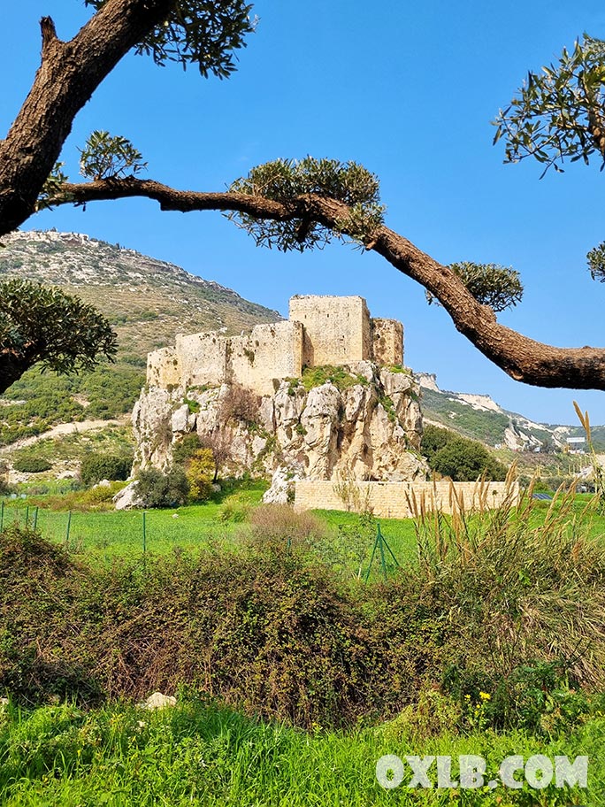 onefineart's tweet photo. The beautiful Mseilha Fort during spring... It was a lovely day walking around it.. let's see a couple of images to change our mood...
https://t.co/m5H87nu5uS
#panorama #lebanon #landscape #mseilha #mseilhacastle #mseilhafort #spring #lebanonspring #nowar #discoverlebanon #changemood