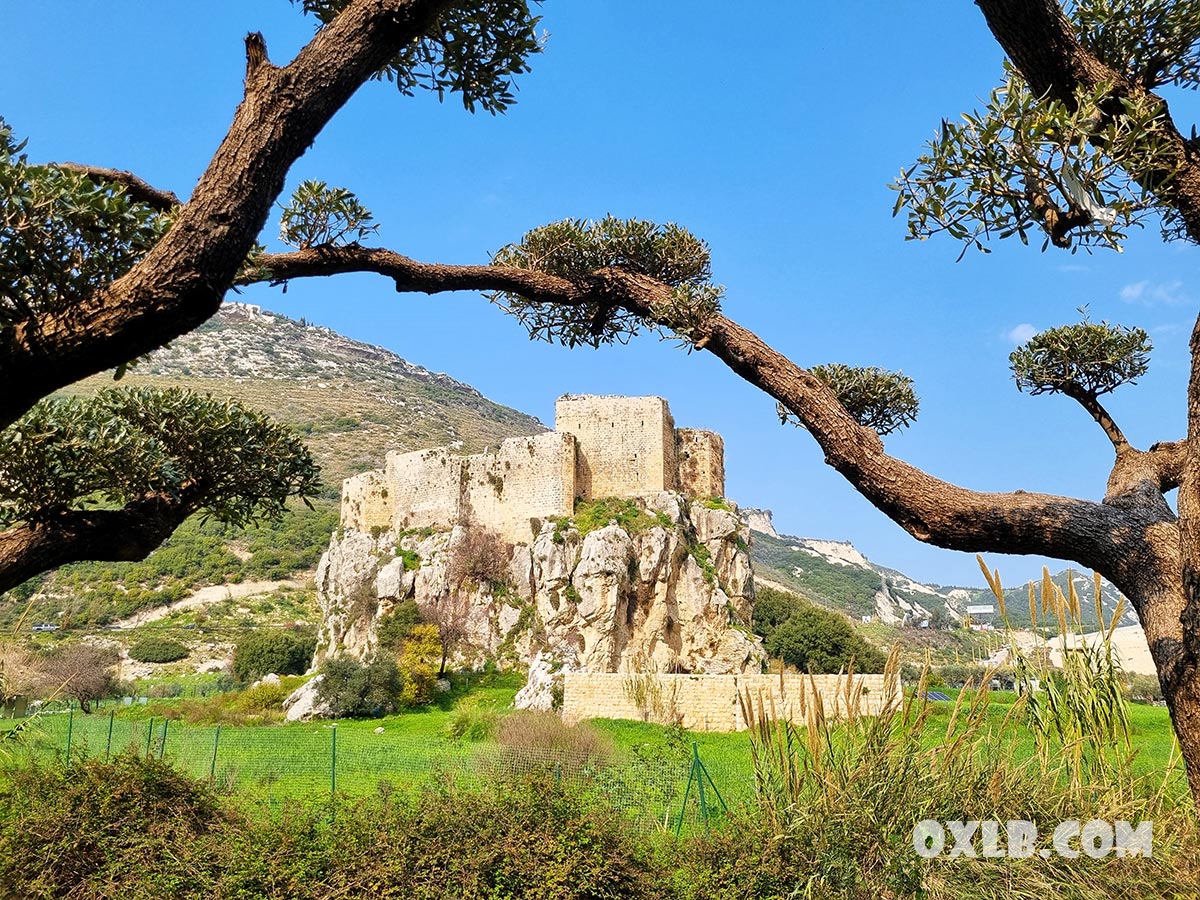onefineart's tweet photo. The beautiful Mseilha Fort during spring... It was a lovely day walking around it.. let's see a couple of images to change our mood...
https://t.co/m5H87nu5uS
#panorama #lebanon #landscape #mseilha #mseilhacastle #mseilhafort #spring #lebanonspring #nowar #discoverlebanon #changemood