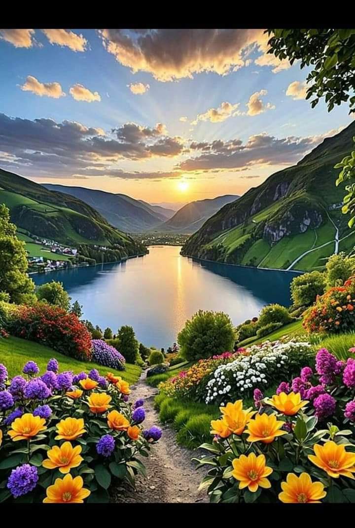 scouce007's tweet photo. 💛💚 Good Morning!💚💛 https://t.co/PLX5X7uC9d