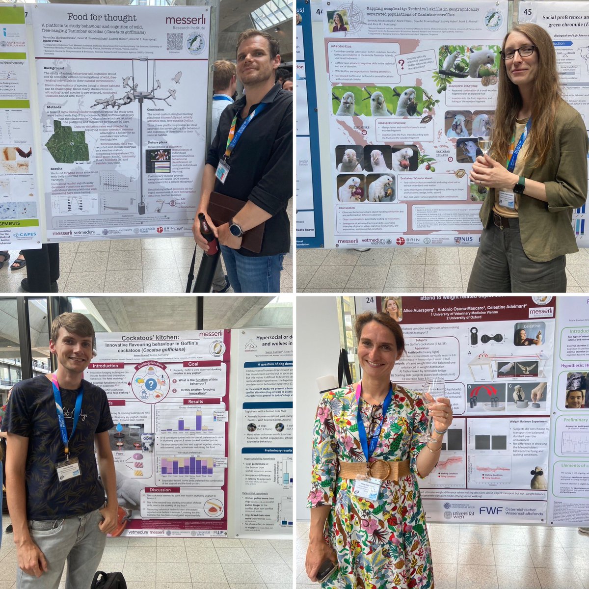 My colleagues spreading the good word about Goffins cockatoos at #ECBB2024 poster session