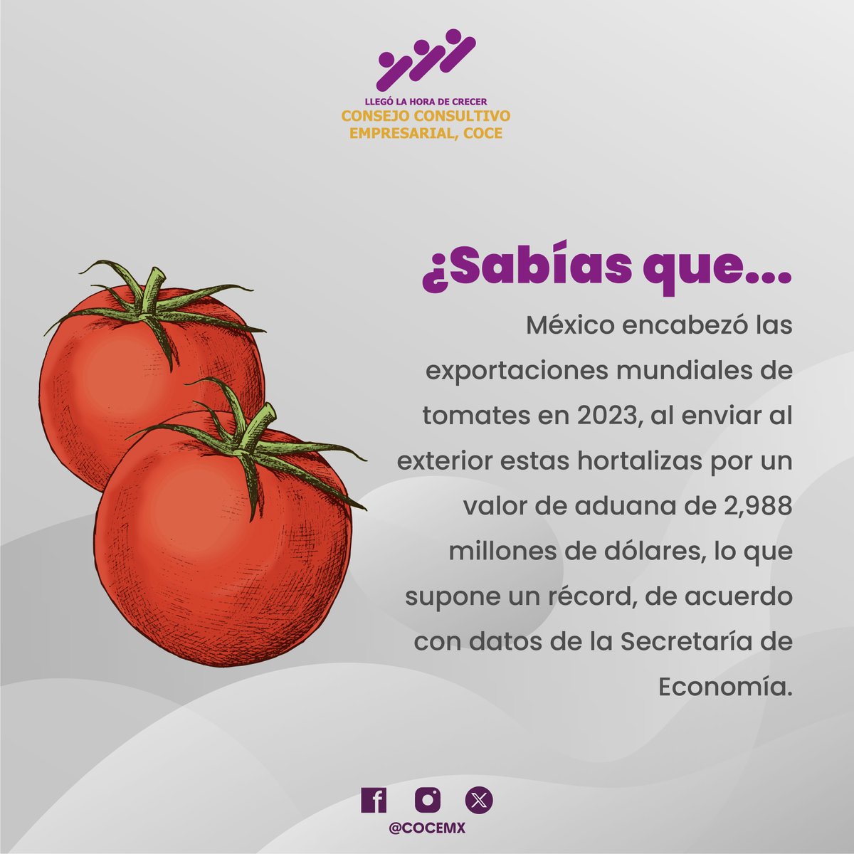 COCEMX's tweet photo. #SabíasQue México encabezó las exportaciones mundiales de Tomates en 2023?

Según Trade Data Monitor, el principal mercado de exportación de México es Estados Unidos con 99.8% de las exportaciones, seguido de Canadá y Japón.

#LlegóLaHoraDeCrecer #COCEMX https://t.co/wUQVKPMbJp