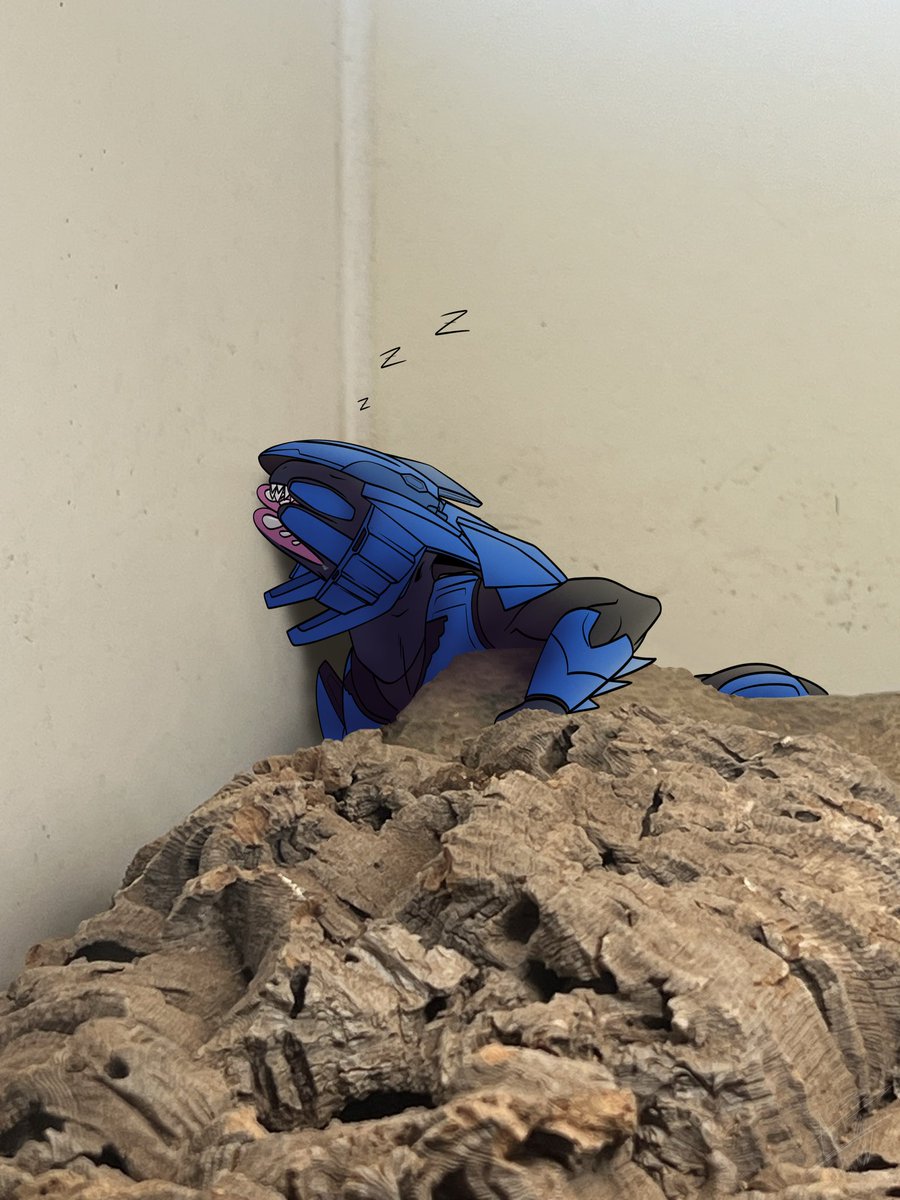 Sleeping on the job.