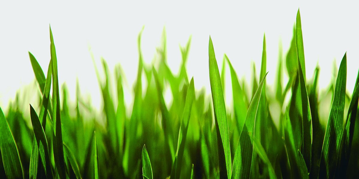 Free article: ‘We are all grassroots Quakers.’ Yearly Meeting 2024: The Friend’s coverage of Yearly Meeting preparation sessions and special interest meetings continues. thefriend.org/article/yearly…