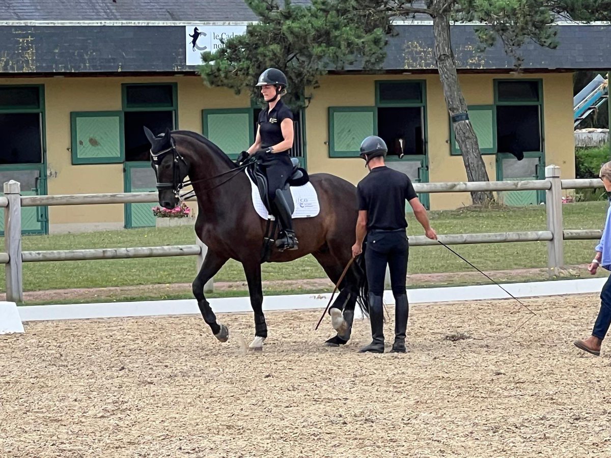 MFLNWHS1's tweet photo. Rubbing shoulders with Olympic athletes….and their jockey!@NunneryWoodHS #France2024 #JeuxOlympiques2024 🇫🇷🇫🇷 https://t.co/pqtsjXIBlp