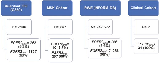OncJournal's tweet image. Dr @rutikamehtaMD &amp;amp; colleagues discuss #FGFR2 as a target in #stcsm #esocsm. @GuardantHealth ctDNA analysis shows #FGFR2amp in &amp;lt;4% of cases. They postulate that #FGFR2inhibitors in trials may improve outcomes #GIonc @UCI_GI_ONC @KlempnerSam
doi.org/10.1093/oncolo…