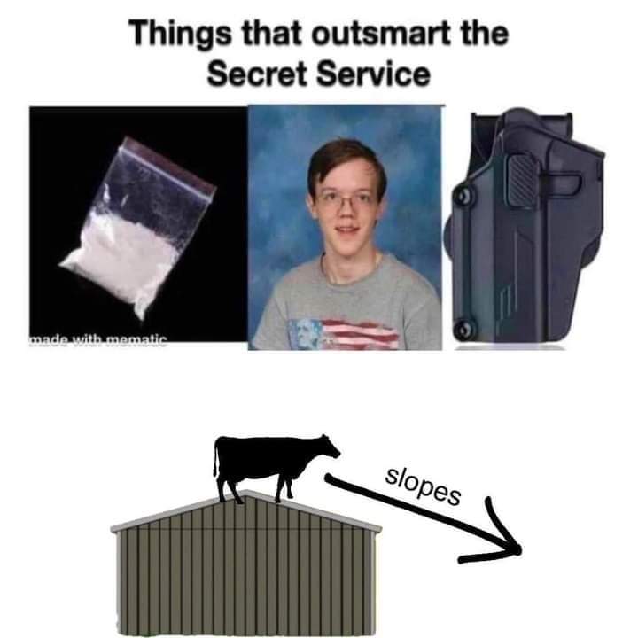 Mr_Maga2022's tweet image. YOU @SecretService  #ResignNOWCheatle