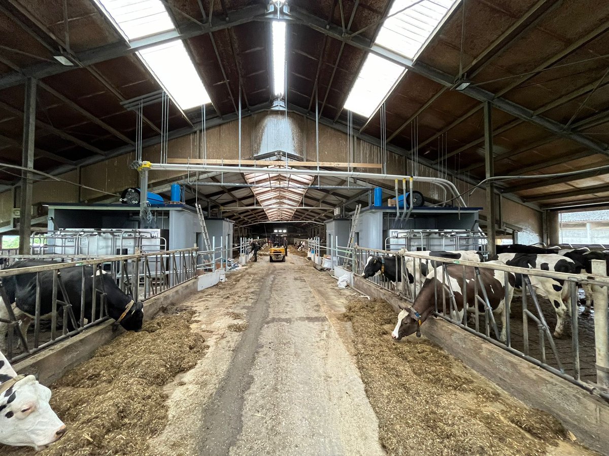 van_jvd's tweet image. Gereed. Puzzel is gelegd bij de #Silos. 2x 3 voersoorten naar 4 #Melkrobots en 1x voersoort naar 2 KVboxen. Aangelegd 175 mtr transport dmv 7 @Roxell_Belgium  #Flexauger FA90 spiraalvijzels. Een bewuste keuze vd veehouder en weer keurig aangelegd door de vakkanjers van #SmitsAgro