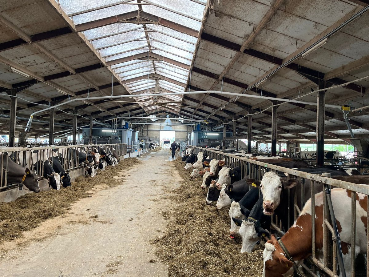 van_jvd's tweet image. Gereed. Puzzel is gelegd bij de #Silos. 2x 3 voersoorten naar 4 #Melkrobots en 1x voersoort naar 2 KVboxen. Aangelegd 175 mtr transport dmv 7 @Roxell_Belgium  #Flexauger FA90 spiraalvijzels. Een bewuste keuze vd veehouder en weer keurig aangelegd door de vakkanjers van #SmitsAgro