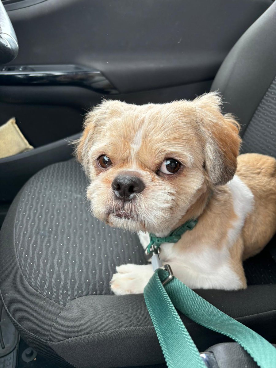 becs 🧡 tweet media