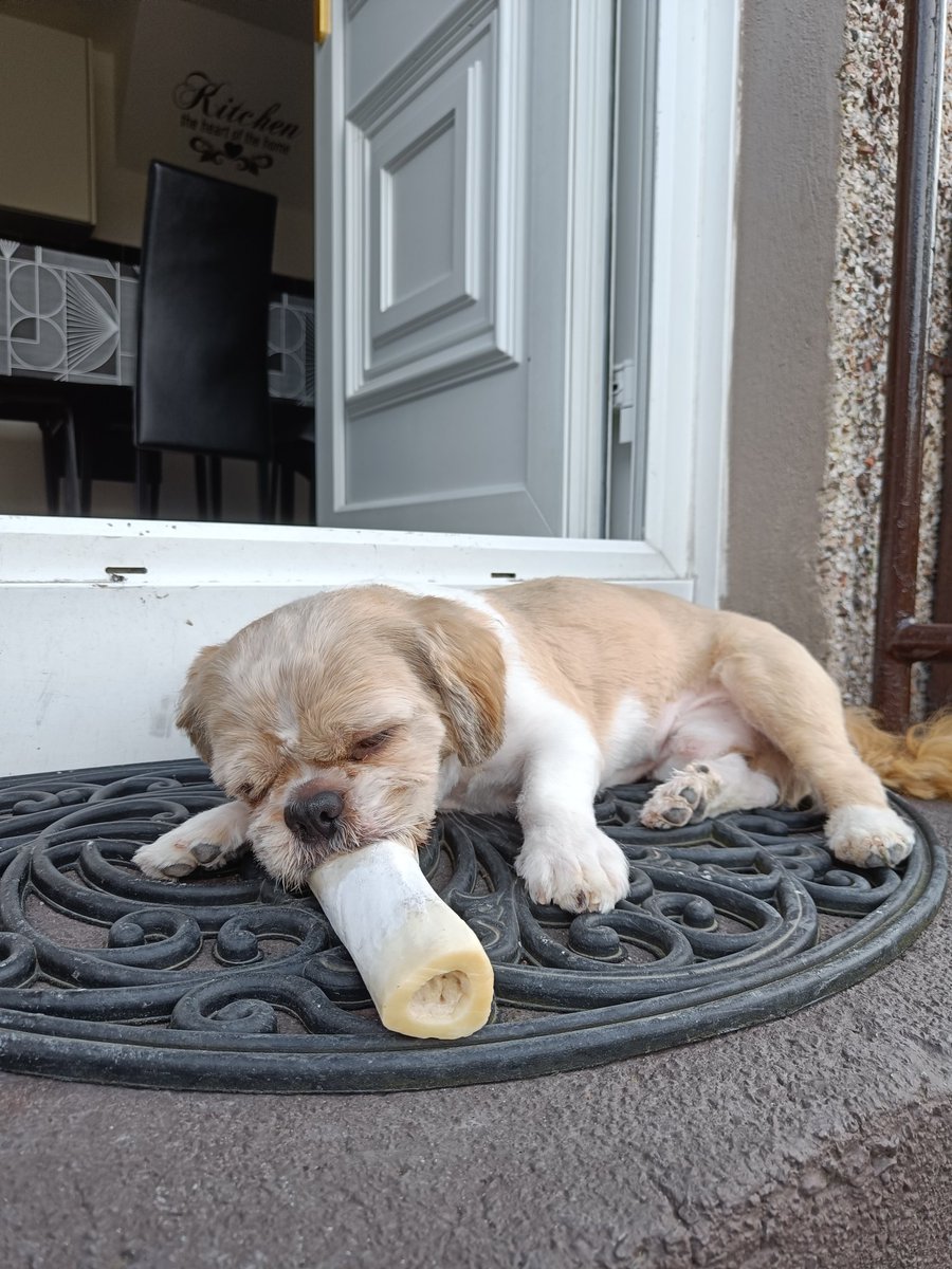 becs 🧡 tweet media