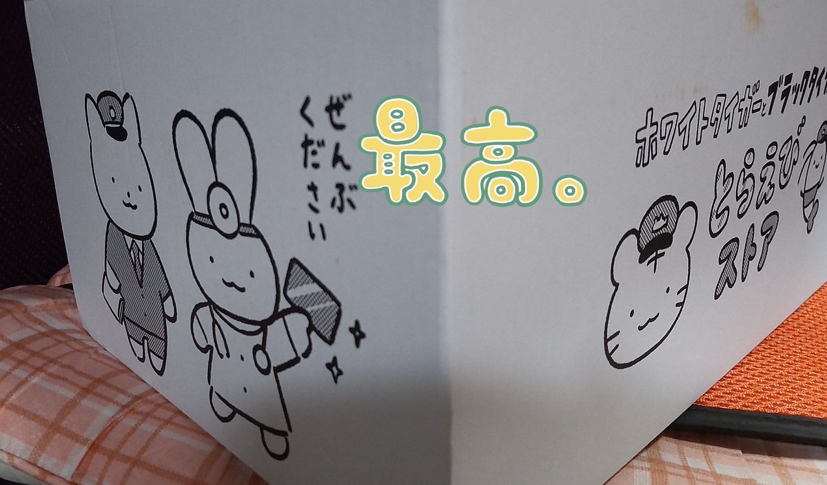 うさぎ先生のぬいがきたー♪⁠ ⁠⁠(⁠^⁠ω⁠^⁠⁠ ⁠)(⁠ ⁠/⁠^⁠ω