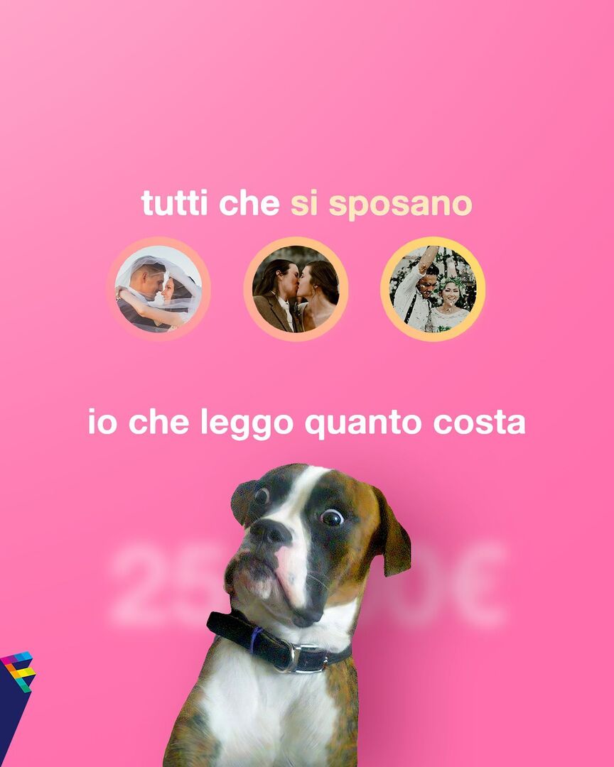 factanza tweet media