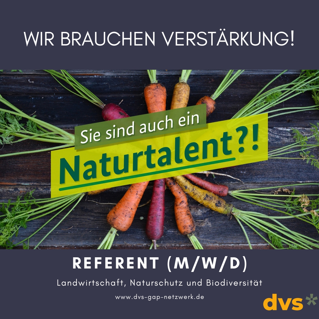 📢 Nette, fitte Unterstützung für die Bereiche #Landwirtschaft, #Naturschutz und #Biodiversität gesucht! 🌻

☝️ Wir, die DVS in Bonn, suchen ab sofort Verstärkung: 
⏳ befristet bis 26.9.25 
✍️bewerben bis 15.8. 

🤩Wir freuen uns auf deine #Bewerbung!
➡️ dvs-gap-netzwerk.de/service/stelle…
