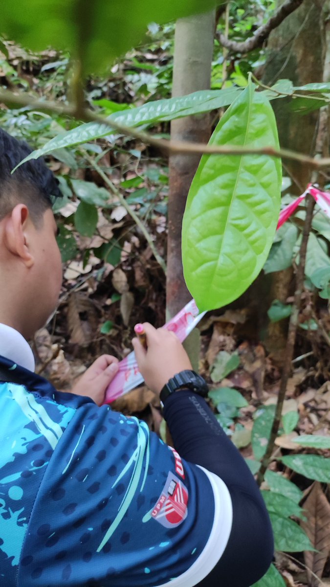 mistaaimanvevo's tweet photo. Morning till zohor kat dalam hutan. Done established 30 by sampling plots ✅
#sisfec #teamforester #fyp #master #phd #fhas #upm https://t.co/stHRPJwPER
