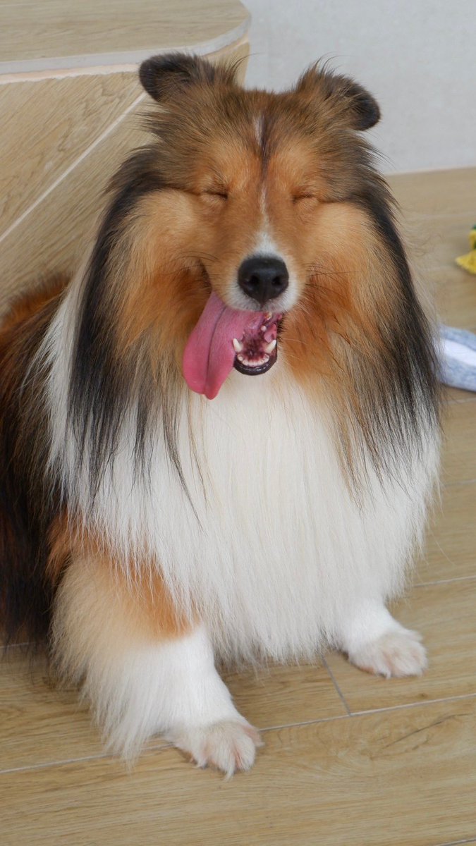 bentleycartierO's tweet photo. พี่เบนอยู่ตรงนั้นก็ยิ้มเยอะ ๆ นะ กินของอร่อย ๆ ให้เต็มที่ อย่าลืมวิ่งออกกำลังกายด้วยล่ะ พี่เบนจะดีใจมั้ยนะที่ไม่ต้องไปว่ายน้ำทุกอาทิตย์แล้ว พี่แอดมินและพี่ ๆ แฟนคลับทุกคน จะคิดถึงรอยยิ้มของเบนท์ลี่ย์สุดหล่อตลอดไปนะคับ 🤍

#bentleycartierO https://t.co/l5JgUMagRN