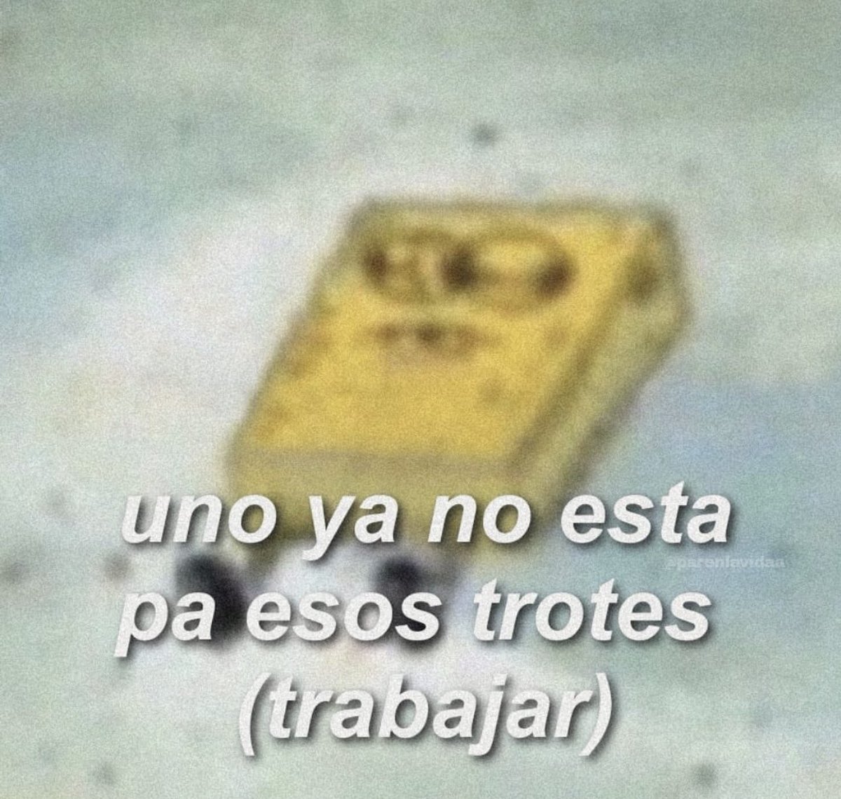 piña sin pizza tweet media