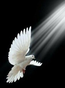 EdwingRoman14's tweet photo. “Señor, tu nos darás Ia paz”. Isaías 26,7
No hay poder en el universo que pueda frenar a Dios de cumplir sus planes, porque Él actúa cuando menos lo esperamos. Pero también Dios quiere que aprendamos a vivir en paz dentro de nosotros mismos, para dar luces y construir esa paz.🕊 https://t.co/88OeWF1T6o