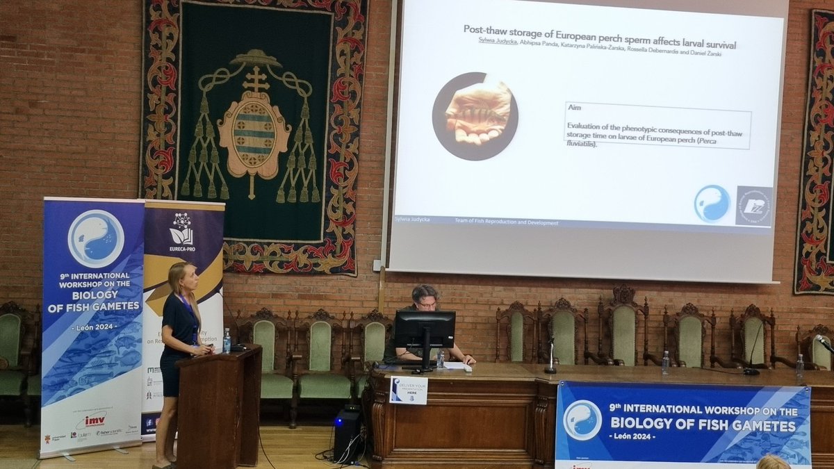 Daniel Żarski tweet media