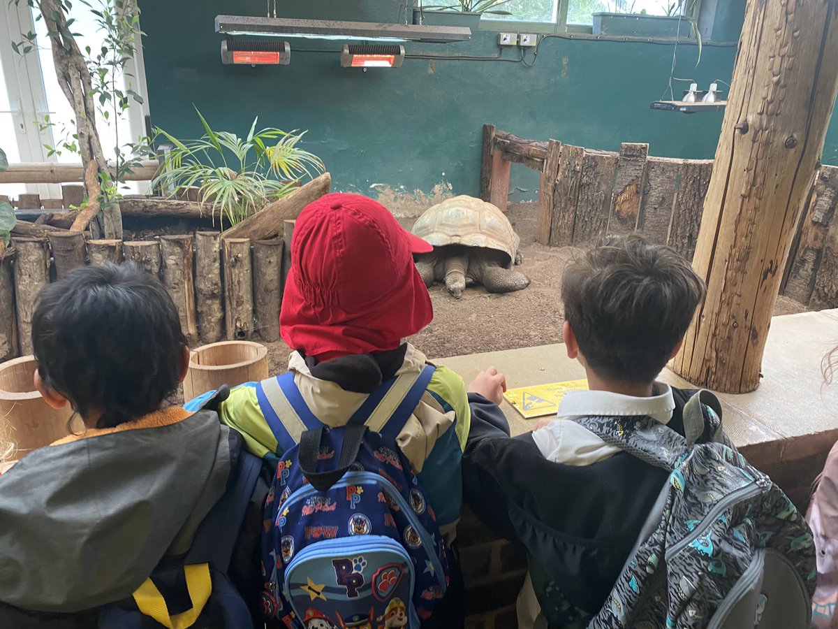 class3stmarys's tweet photo. We had a great day at the zoo this week linking to our Amazing Africa topic and discussing the habitats of the different animals. @stmarysderby https://t.co/T6RB08oQcy