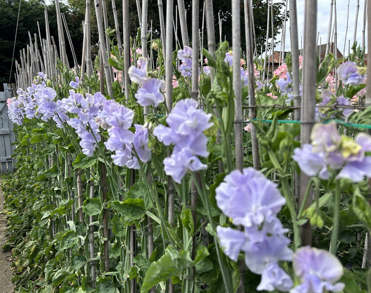 Darren Myers tweet media