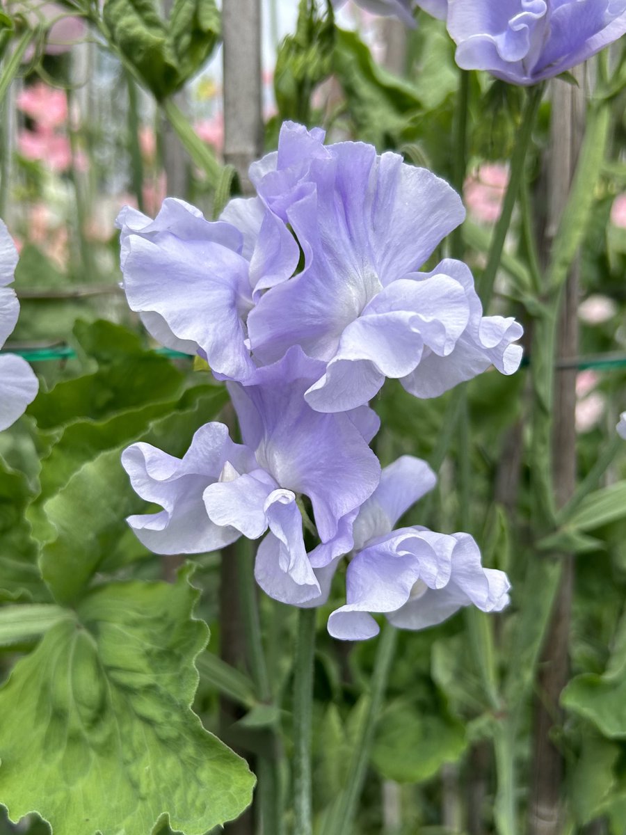 Darren Myers tweet media