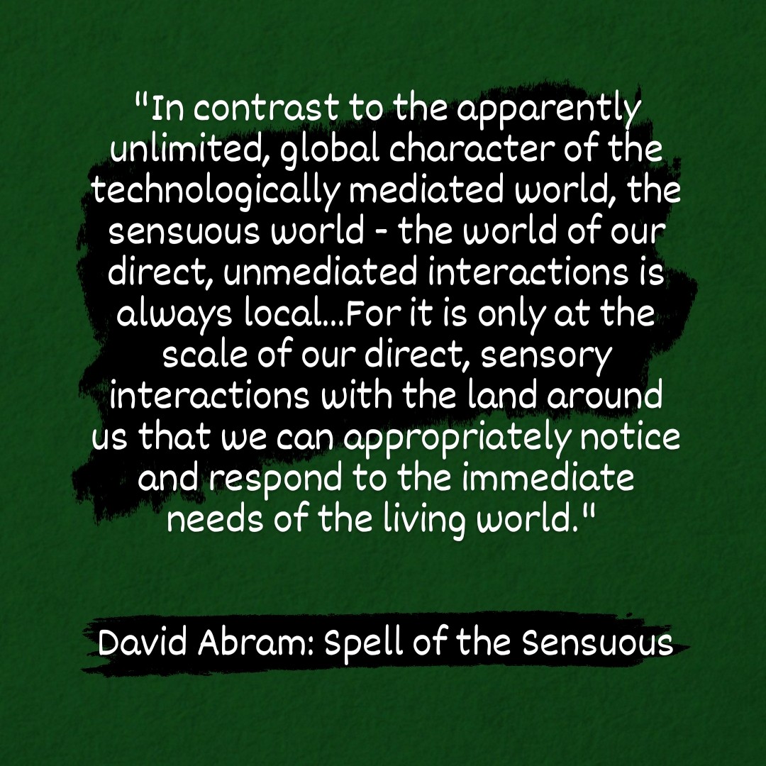 School of Wild Listening tweet media