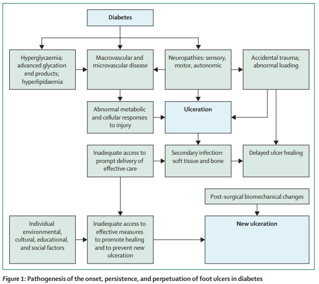 TheLancetEndo's tweet photo. Causes, prevention, and management of #diabetes-related #foot #ulcers https://t.co/PyIAbUNiFh  #DFUs #T1D #T2D https://t.co/2Zkx2yPAH9