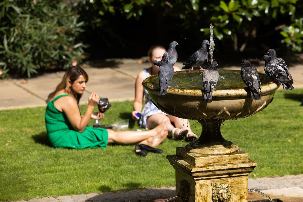 Zoe Schneeweiss tweet media