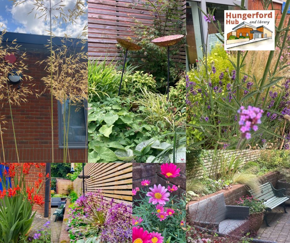 First Prize in our Category for Hungerford in Bloom this year! 

Thank you Emma our gardener for all your work in keeping the garden areas around the Hub looking so good. 

Remember our garden is always available for visitors to enjoy when the Library is open..